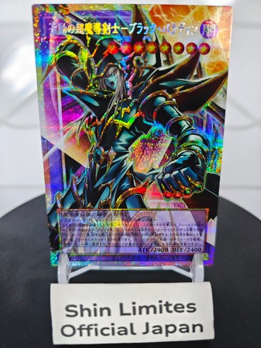 Dark paladin onve motion - paladin, onve-motion