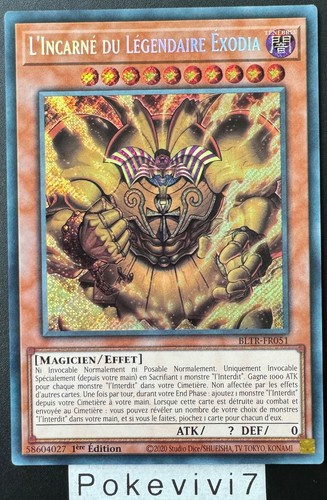 Carte l incarne du - yu-gi-oh!, l'incarne